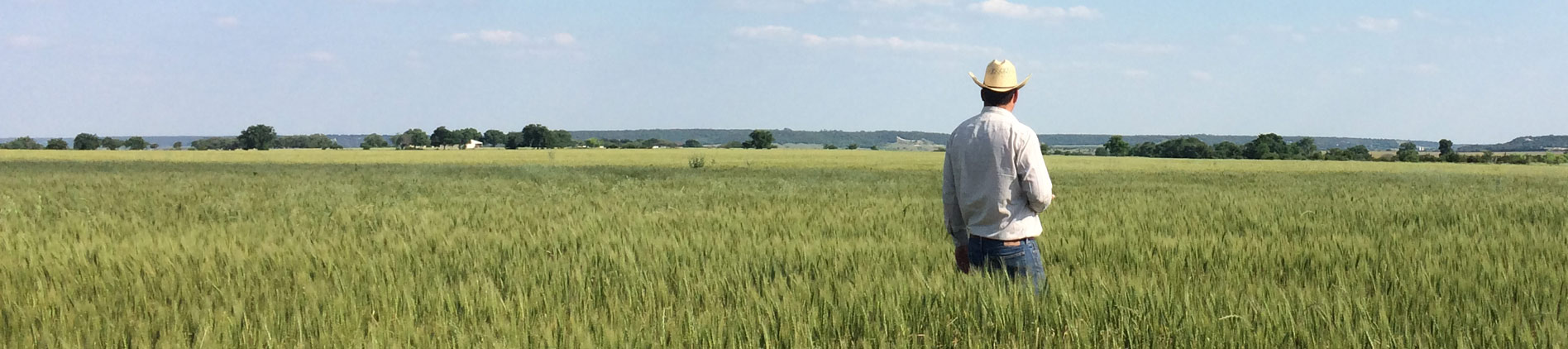 Dallas Fort Worth Farm Ranch Rural Real Estate